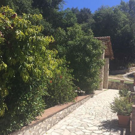 Vigne Belvedere Cramaccioli מראה חיצוני תמונה