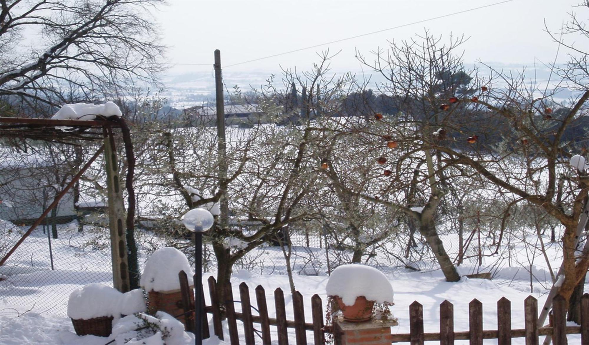 Vigne Belvedere Cramaccioli מראה חיצוני תמונה