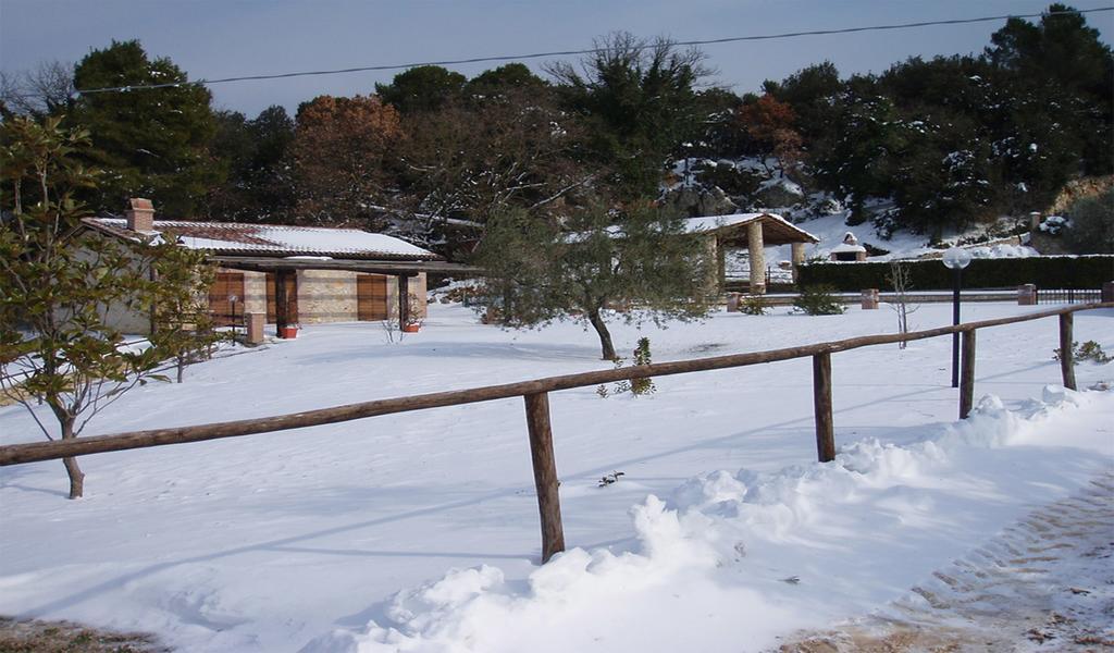 Vigne Belvedere Cramaccioli מראה חיצוני תמונה