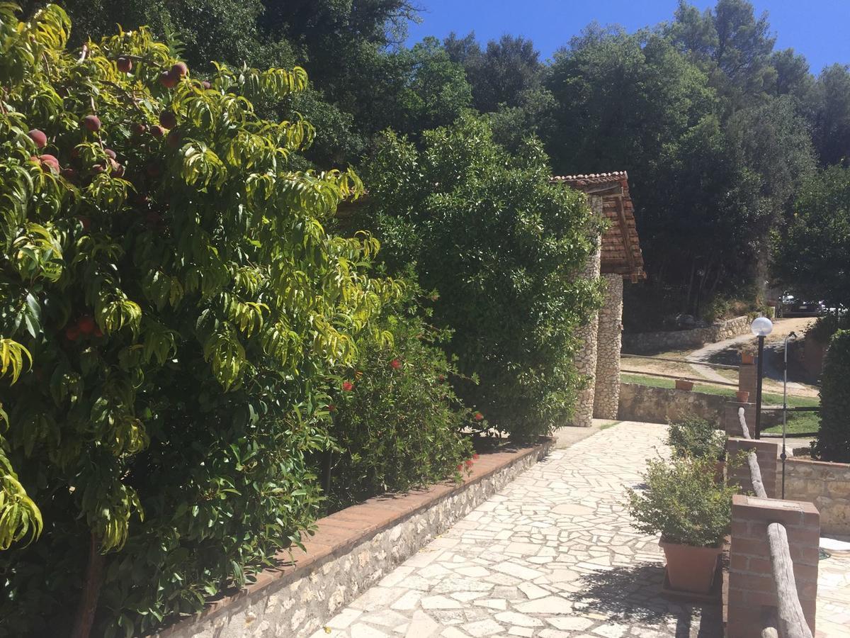 Vigne Belvedere Cramaccioli מראה חיצוני תמונה